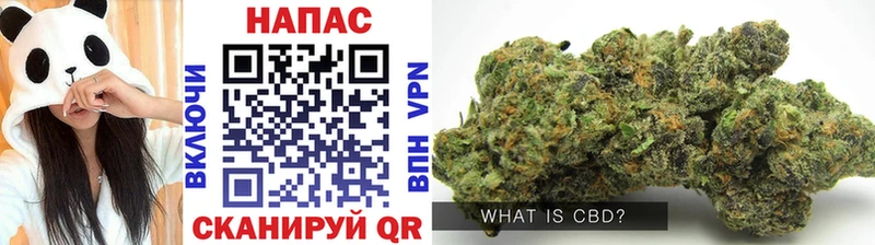 Купить наркотик Новодвинск Cocaine  Alpha-PVP  Марихуана 