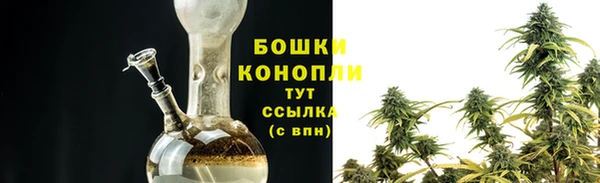 стаф Горнозаводск