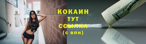 стаф Горнозаводск