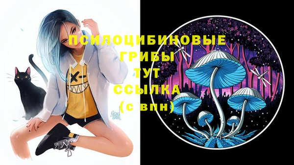 каннабис Гусиноозёрск
