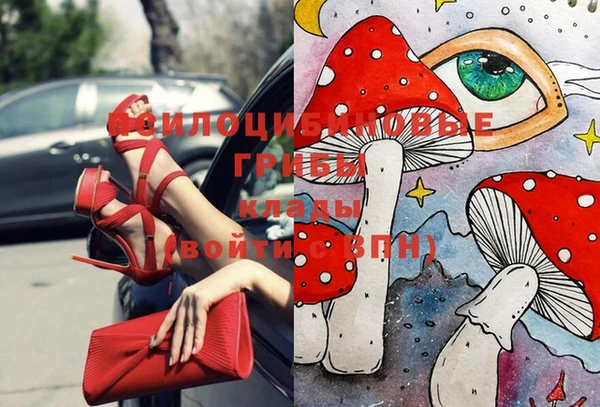 каннабис Гусев
